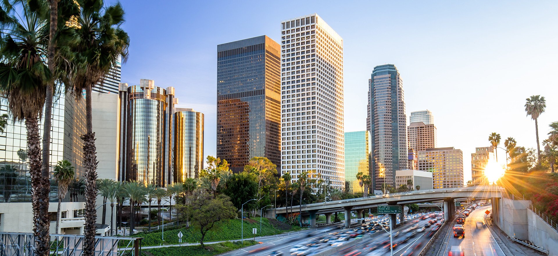 Los Angeles Downtown Skyline