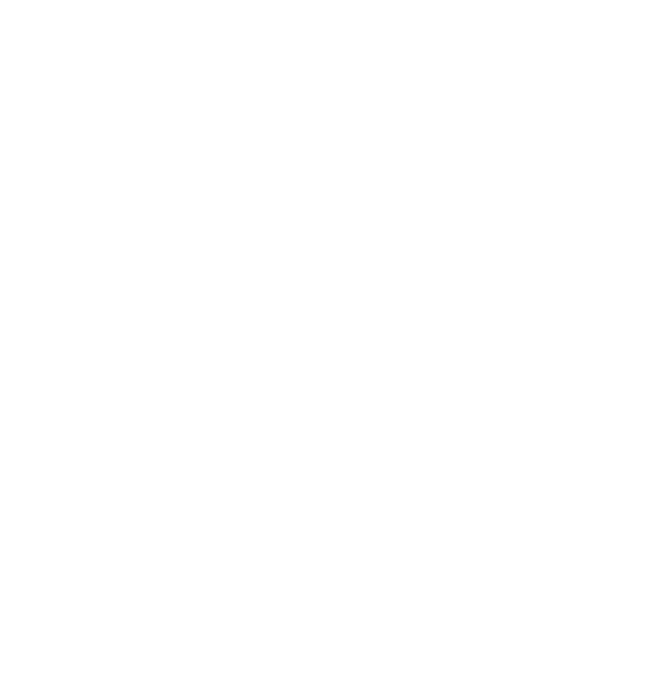 Singh-Associates-Logo-Pie-WHITE