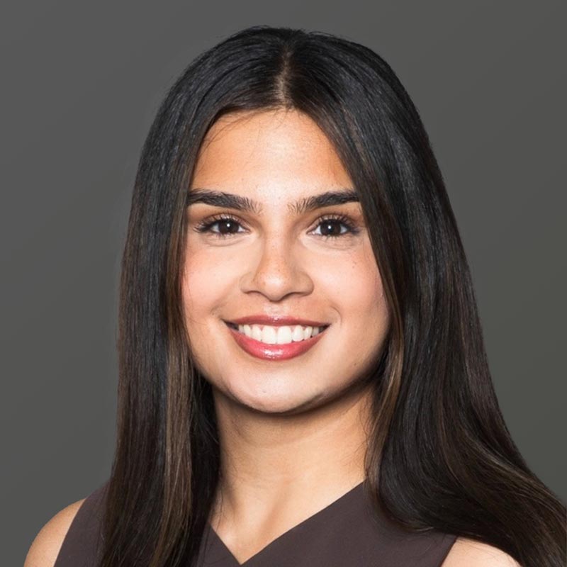 Meher Singh - Headshot for Singh & Associates LLP accounting, tax and audit firm in Los Angeles California.